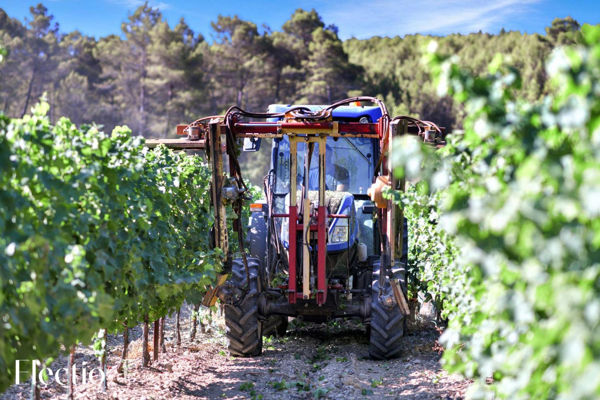 Bastide Domaine Tour Campanets Aparthotel Le Puy-Sainte-Reparade Ngoại thất bức ảnh